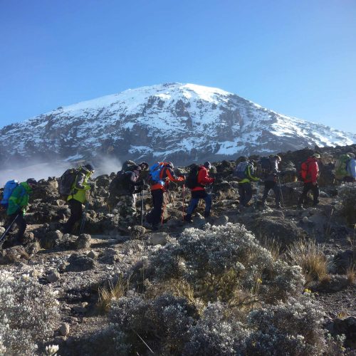 mms-5-day-marangu-3