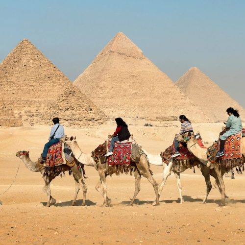 mms-7days-cairo-1