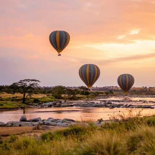 mms-8day-west-serengeti-1
