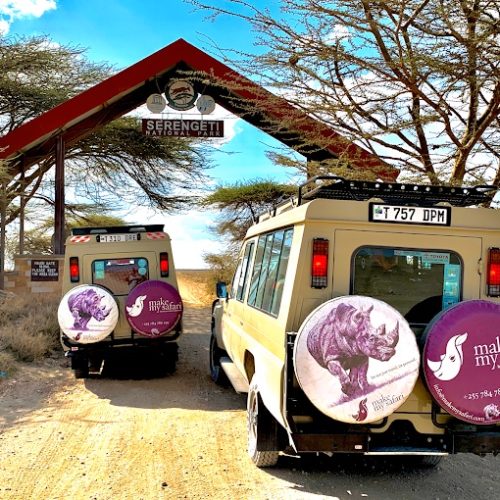 mms-high-season-safari-1