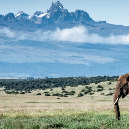 mms-kenya-tanzania-12days-2 (1)