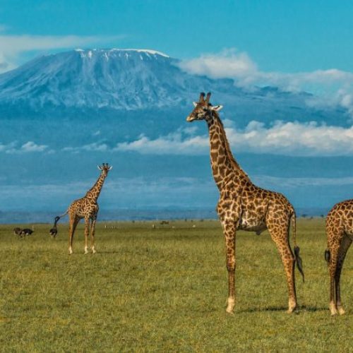 mms-machame7-4