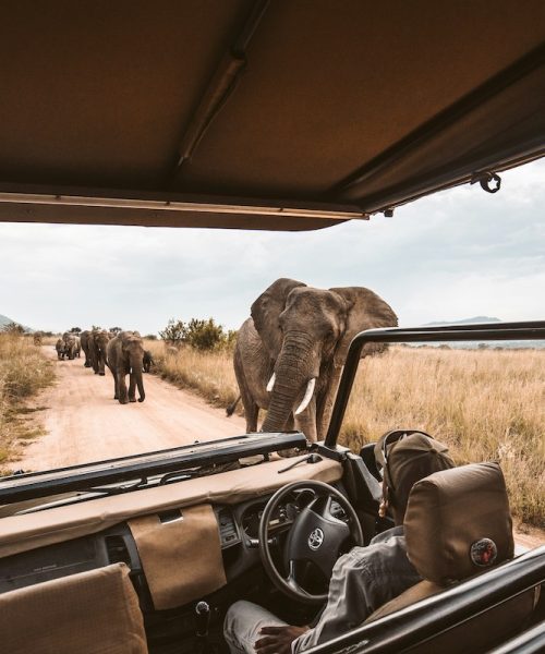 redcharlie-nf7W_hn6DKQ-unsplash